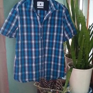 Cactus man men's shirt